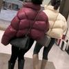 Autunno Inverno Donna Cappotto in cotone Colletto alla coreana Protezione collo Manica lunga Antivento Termico Imbottito spesso Chiusura con cerniera liscia Giacca morbida da donna