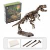 Zestaw Archeolog Wykopaliska Skamieliny Dinozaur Szkielet T-Rex + Gratis