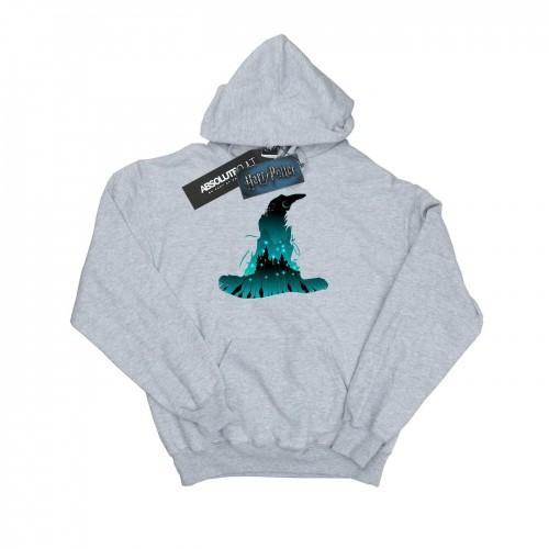 Harry Potter Mens Hogwarts Silhouette Hoodie