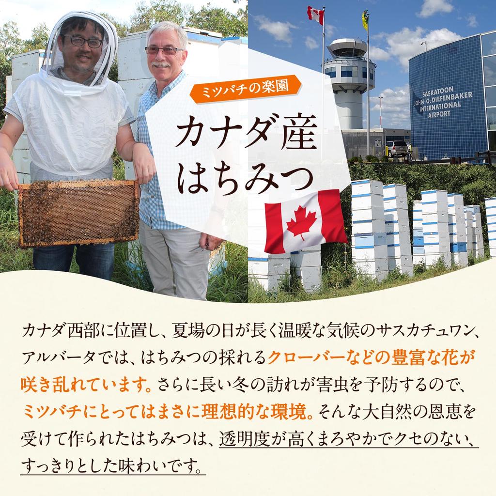 Pure Honey from Canada Pure Honey SET of 2 [Rake Honey] (Poly 500g) 100%