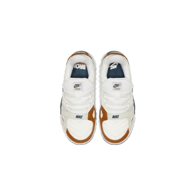 Nike LeBron 16 Medicine Ball PS CJ6705-100