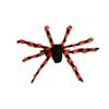 Realistic Halloween Plush Spider Creative Halloween Decoration Gift Giant Fake Spider  Plush Toy