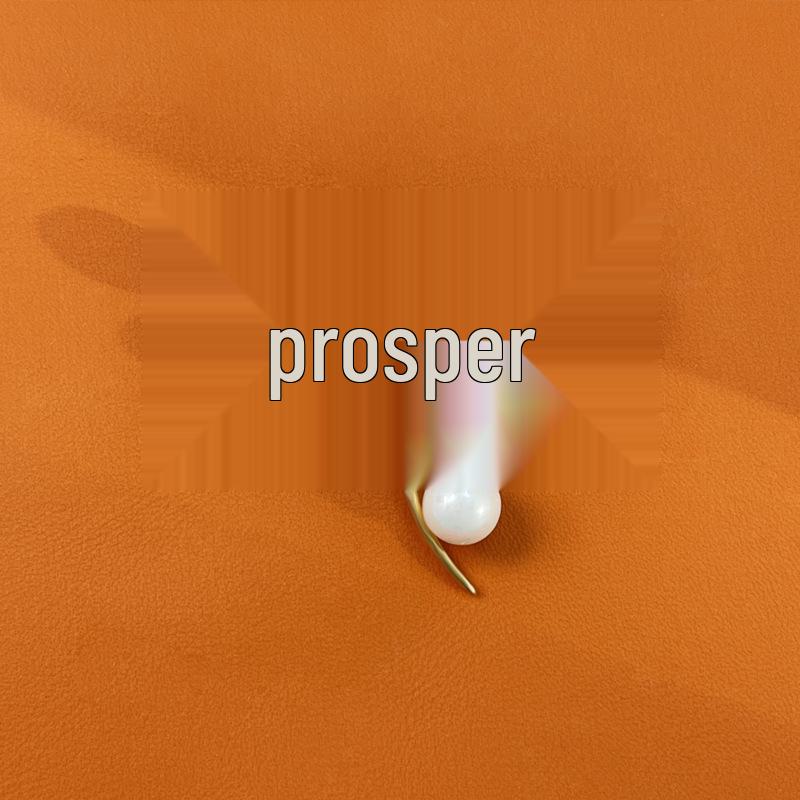 Douyin Trendy Natural Mother-of-Pearl Brooch with Copper-Zirconium and Pearl, Perfect for Light Luxury Suit Shirts