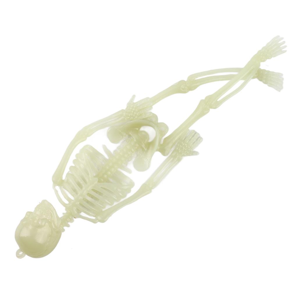 Glowing In The Dark Halloween Skeleton Decor Luminous Lifelike Skeleton Model for Front Lawn