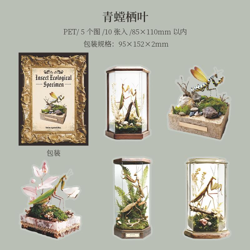10pcs/1lot Kawaii Stationery Sticker Insect Ecological Specimens Junk Journal Decorative Scrapbooking DIY Craft Sticker