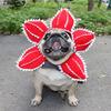 Шапка для собаки Демогоргон Дизайн хижої квітки Костюм для домашнього улюбленця Зубчасті пелюстки Регульована Смішна шапка для домашнього улюбленця для маленьких собак котів Косплей вечірка Фотореквізит