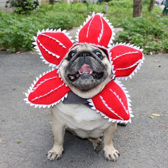 Demogorgon Hundehut Karnivorenblumen-Design Haustierkostüm Gezackte Blütenblätter Verstellbarer Lustiger Haustierhut für Kleine Hunde Katzen Cosplay Party Foto-Requisiten