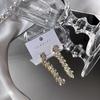 Women's Silver 925 Morning Floor Long Earrings