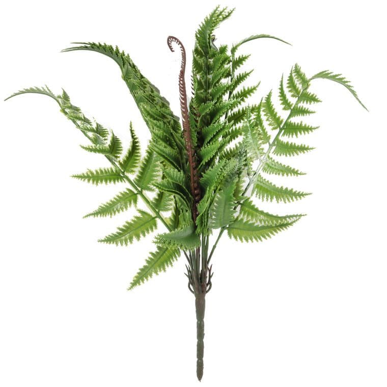 Bouquet of 9 Ferns with Offshoots 42 Cm