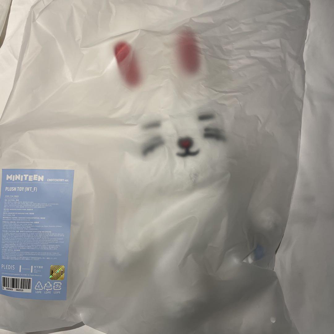 

[USED] MINITEEN S.Coups Plush Toy Chechery Miniteen