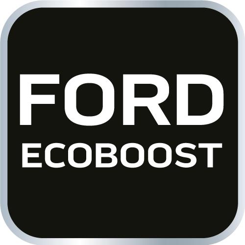 Timing tool kit for ECOBOOST Ford petrol engines