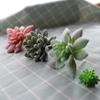 Realistic Flocked Succulents: Small Artificial Green Plant Wall Decor for Interiors