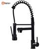 LINGJULI Stainless Steel Pull-Out Kitchen Faucet with Filter Function