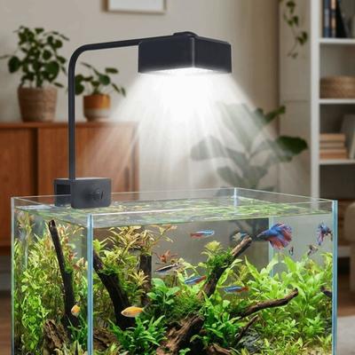 Pești și animale marine – Iluminare acvariu