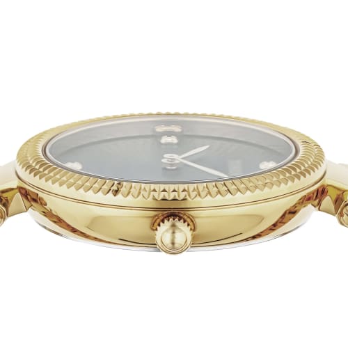 TIMEX Adoon 32mm America Watch (TW2V24100) Women's Gold with Black Dial, Brass, Mineral Glass, and Quartz Movement