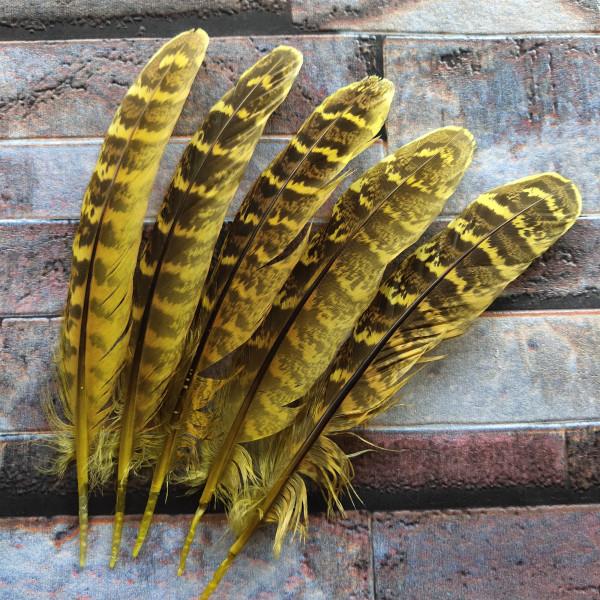 10 Pcs Beautiful High Quality 10-15cm/4-6inches Natural Pheasant Feathers 11 Colors Optional DIY Decorative