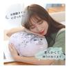 EU SOU Seal Body Pillow Cushion Stuffed Animal Realistic Animal Fluffy Chewy Sleeping Pillow Nap Pillow (30cm, Gray)