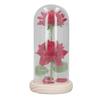 Valentine Day Artificial Flowers Glass Decor LED Light Wooden Base 2 Roses Ornaments for Girlfriend