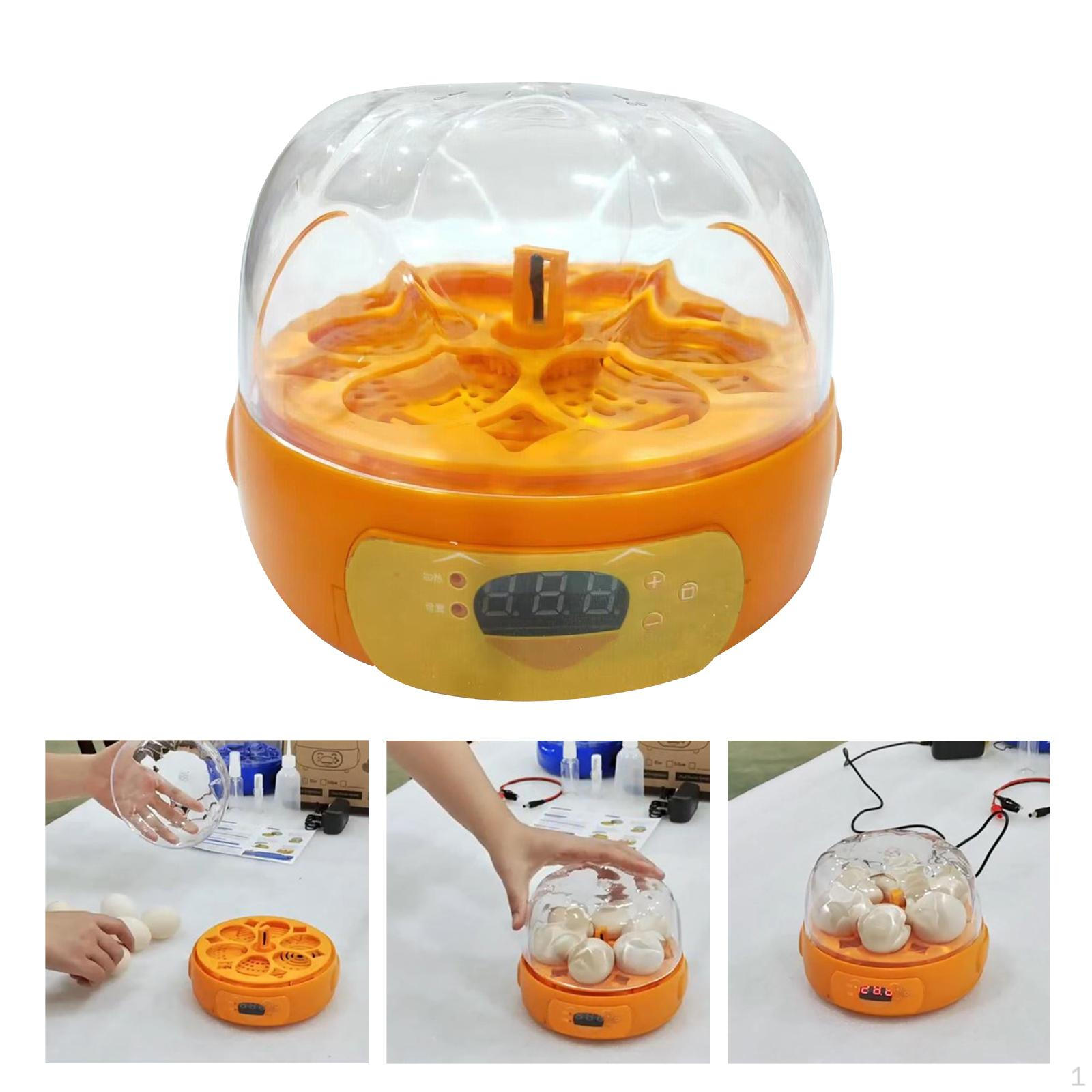 

Инкубатор для яиц Автоматический поворот Вывод яиц для перепелов гусей Семейное использование оранжевый