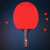 YTYIN Professional Ping Pong Paddle Set CN plug (adapter included)