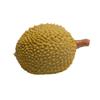 Popular y creativa descompresión de durián y yaca divertida para apretar, juguete artefacto de descompresión de rebote lento con forma de fruta simulada