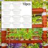 Plastic Net Pot Style Basket for Soilless Cultivation of Leafy Greens Fruiting Plants and Microgreens In Indoor Setups
