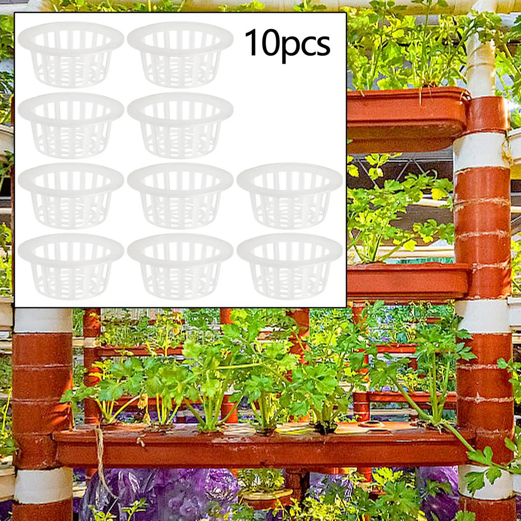 Plastic Net Pot Style Basket for Soilless Cultivation of Leafy Greens Fruiting Plants and Microgreens In Indoor Setups