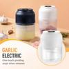 Portable Electric Garlic Chopper, 2025 New Rechargeable Food Processor for Garlic Ginger Onion Meat Vegetable Chilli, Home Kitchen Gadget