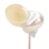 Polished Seashell Conch Shell Wine Glass Crystal Base Cocktail Glass  Valentine Birthday