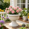 Kunststoff-Blumenurne Pflanzgefäß, Kelchförmiger Blumentopf, Leichter Blumentopf mit Drainagelöchern für Innen Außen Garten Terrasse Veranda Dekoration