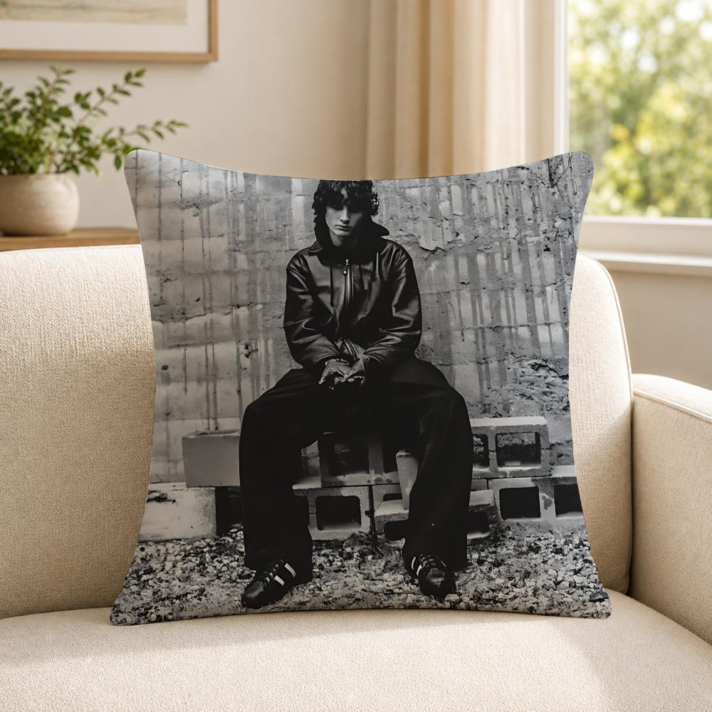 Singer Ssombr Cushion Cover Soft Short Plush SkinFriendly Cushion Case for MultiScene Use
