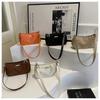Stylish 2033 Winter Fashion Bag For Women Street Fashion Canvas Shoulder Bag
