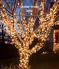 Colorful Waterproof LED Fairy String Lights for Outdoor Decor & Camping