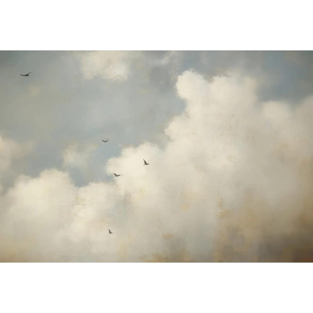 Vintage Cloud Landscape Art Posters Moody Sky Forest Plants Modern Prints Canvas Painting Wall Pictures Home Living Room Decor