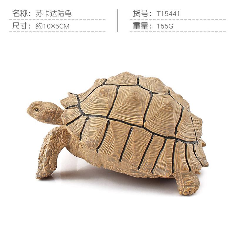 Simulation Amphibian Reptile Model Tortoise Tortoise Star Tortoise Static Decoration Cognitive Ornament Toy