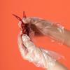 CHAHUA Thickened Disposable Picnic Gloves
