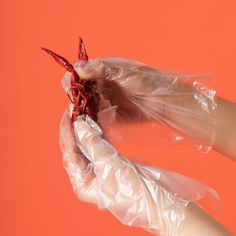 CHAHUA Thickened Disposable Picnic Gloves