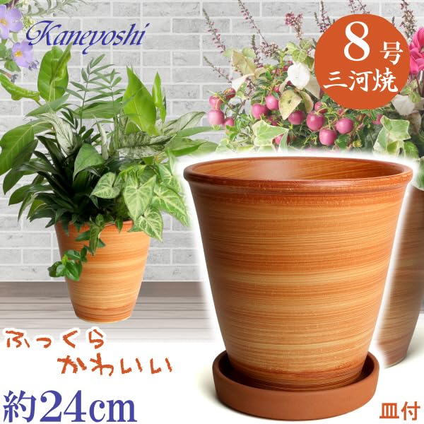 KANEYOSHI Ceramic Flower Koharu with Made In Japan with Reliable Domestic Quality Mikawa-yaki Pot, (Koharu), Orange, No. 8, Plate,