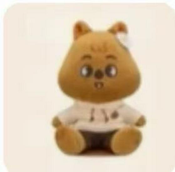 Stray Kids Skzoo x Zootopia Bang Chan & Lee Felix Outfits im neuen Stil