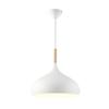 Nordic Colored Chandelier Wooden Pendant Light Bedroom Living Room LED Lamp Single Head Aluminum Children Room Lighting Fixture