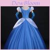 Premium Quality Gorgeous Princess Cinderella Cosplay Costume For Women With Accessories