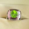 Peridot Oval Cut Gemstone With 925 Sterling Silver Ring For Men's #B451 JL375683866784
