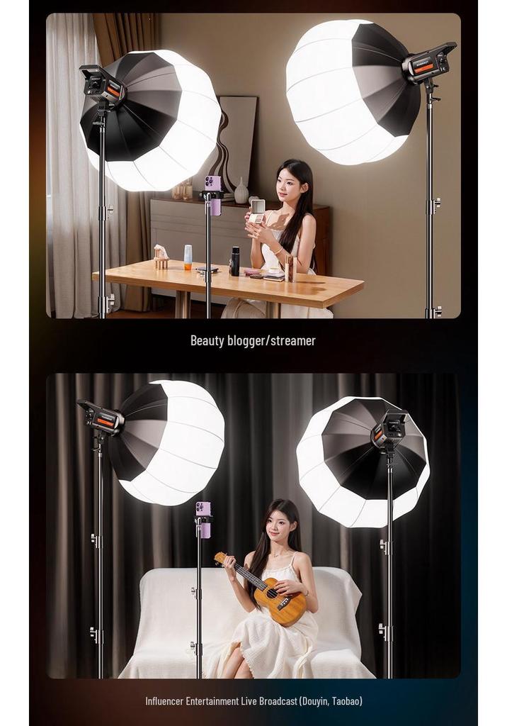 LED Beauty Sphere Fill Light for Streamers and Photographers