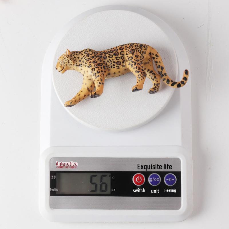 Wild Animal Toy Model: Cheetah, Jaguar, African Leopard for Children's Learning