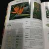 [USED] Flowers, plants, foreign books, illustrated guidebooks, guidebooks, Flowering shrubs