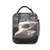 Insulated Lunch Bags Thermal Bag Reusable,Lunch Container High Speed Rail Train Large Tote Lunch Box Food Storage Bags