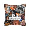 Ed Sheeran Loop Tour 2026 Pillowcase Merchandise Printing Cushion Cover Decorative  Pillow Case Cover Home Multiple Sizes