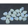 17-21MM Natural Rainbow Moonstone Pear Cabochon Loose Gemstone 19 Pcs Lot C-545