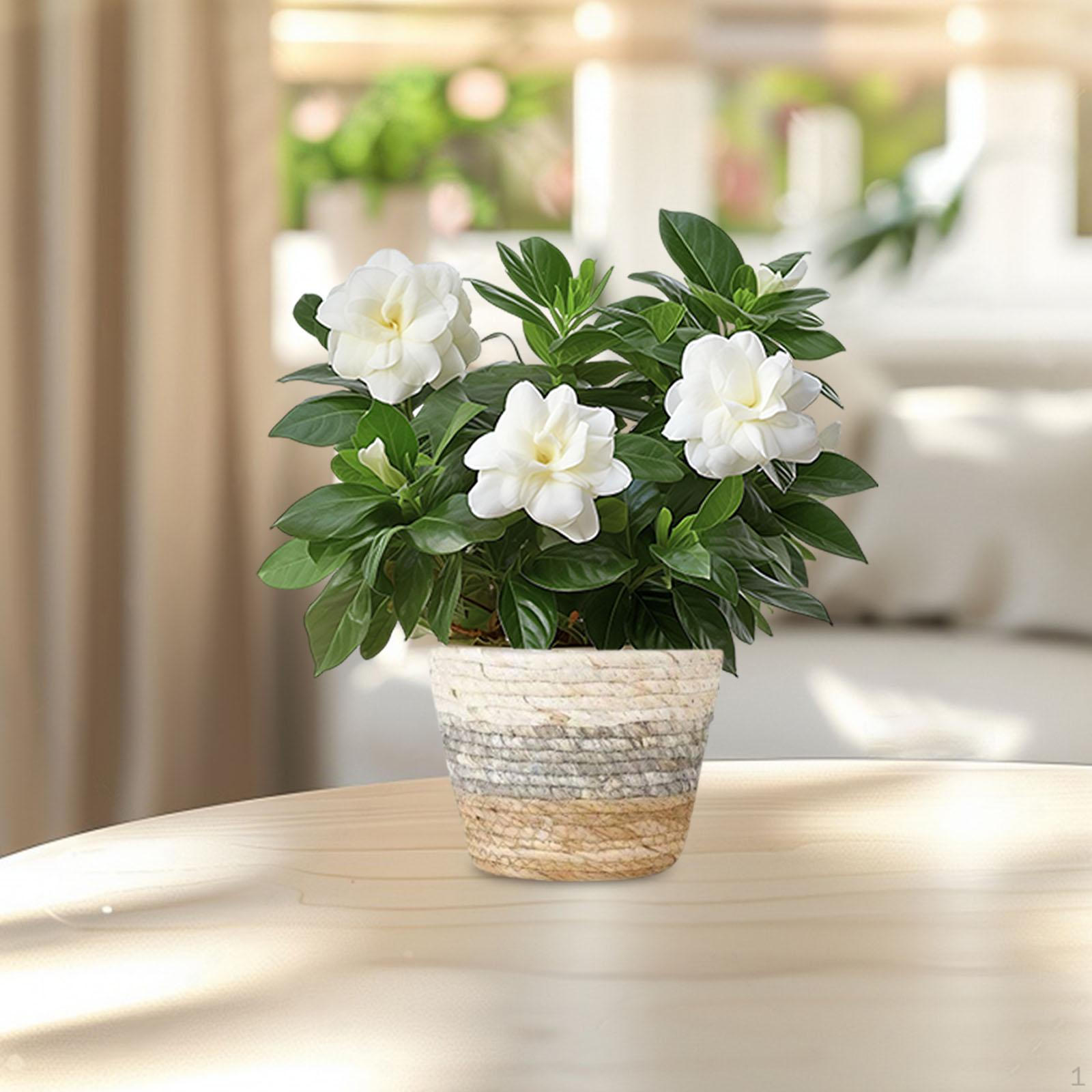 

Декоративный плетеный контейнер для цветочных горшков, садовый органайзер и держатель XS