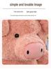 Barnaby's Pink Pig Plush Doll - Silly & Cute Children's Gift